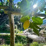 Dimora Rosella Bed and breakfast Tramonti