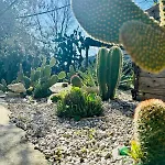 Dimora Rosella Bed and breakfast
