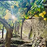Bed and breakfast Dimora Rosella Tramonti