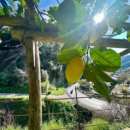 Dimora Rosella Bed and Breakfast Tramonti