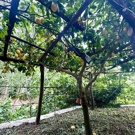 Dimora Rosella Bed and Breakfast