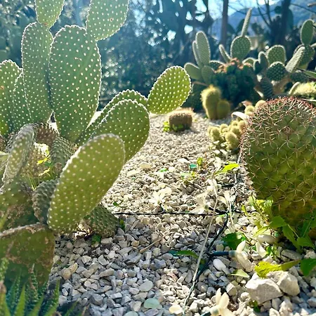 Dimora Rosella Трамонти