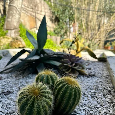 Dimora Rosella Отель типа 