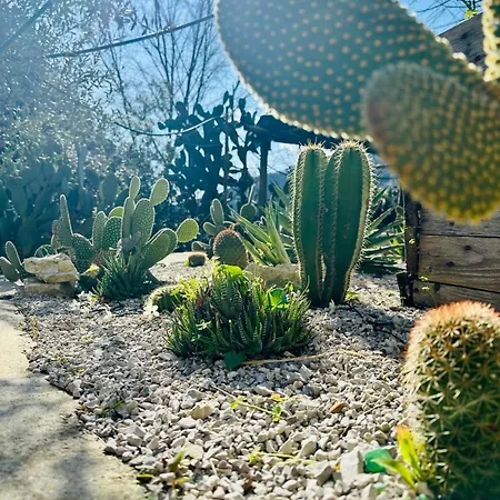 Dimora Rosella Отель типа 