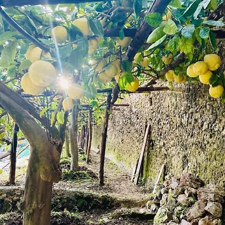 Alojamento de Acomodação e Pequeno-almoço Dimora Rosella Tramonti