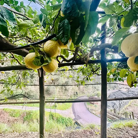 Dimora Rosella Tramonti