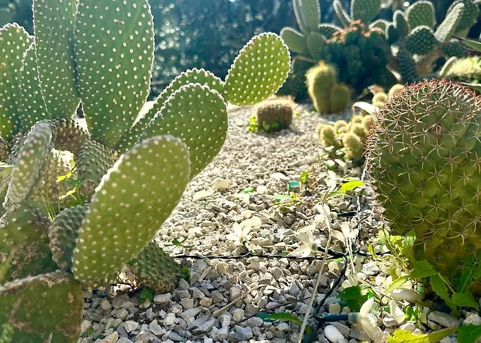 Dimora Rosella Tramonti