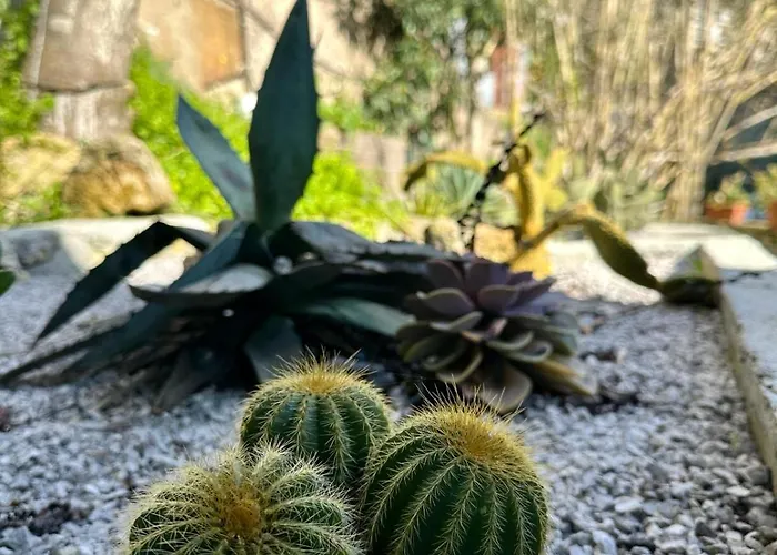 Dimora Rosella Nocleg ze śniadaniem