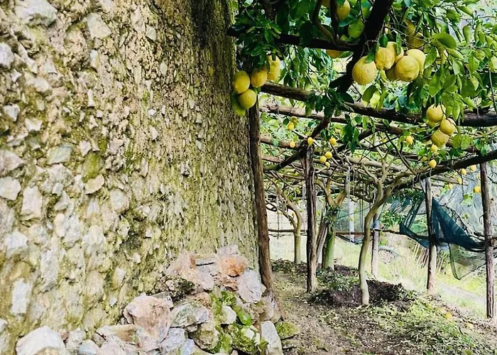 Nocleg ze śniadaniem Dimora Rosella *