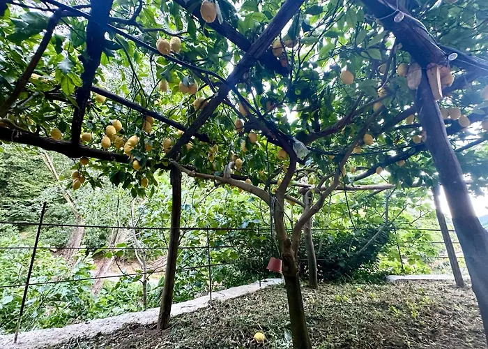 Dimora Rosella Nocleg ze śniadaniem