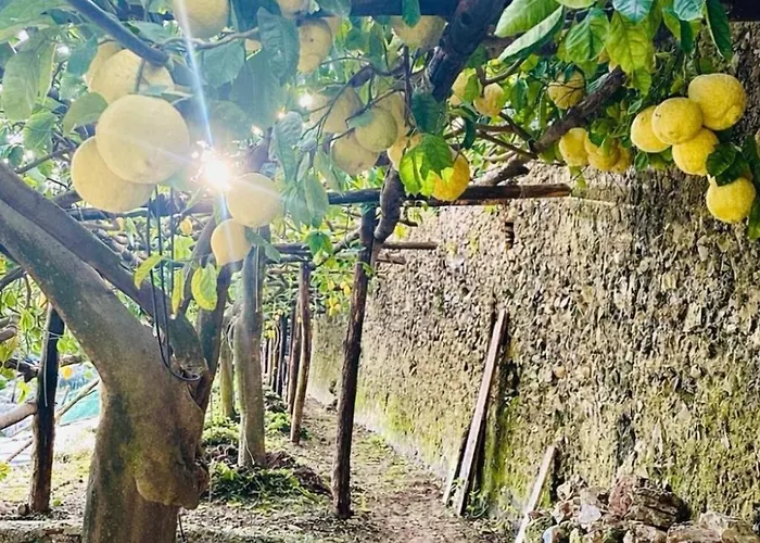 Nocleg ze śniadaniem Dimora Rosella Tramonti